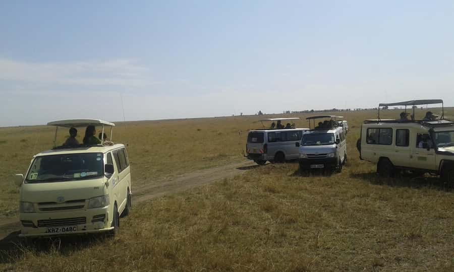From Nairobi: 3 Days, 2 Nights Maasai Mara Group Safari - A first game drive from 4:00 to 6:00 p.m.