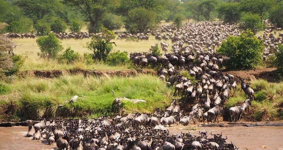 From Nairobi:3-Days 2-Nights Maasai Mara Group Safari in 4WD - Leaving Nairobi and stopping at the Great Rift Valley