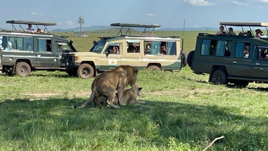 From Nairobi:3-Days 2-Nights Maasai Mara Group Safari in 4WD - Sunset, predators, and the best time for photographs
