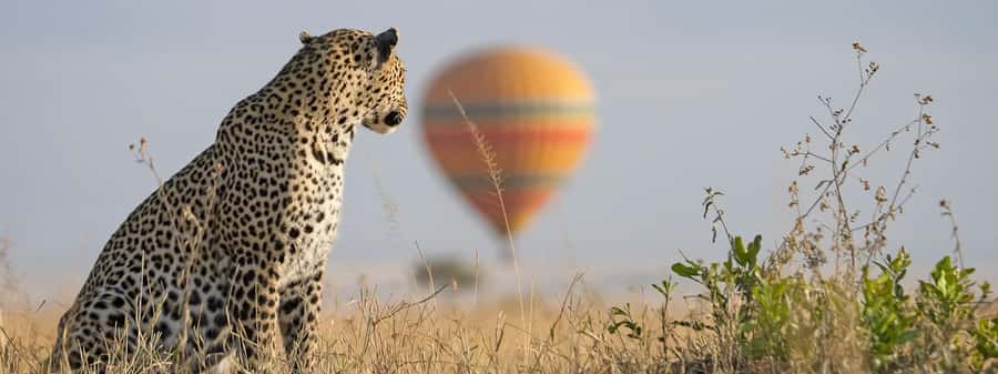 From Nairobi:3-Days 2-Nights Maasai Mara Group Safari in 4WD - The first evening drive from 4:00 to 6:00 PM