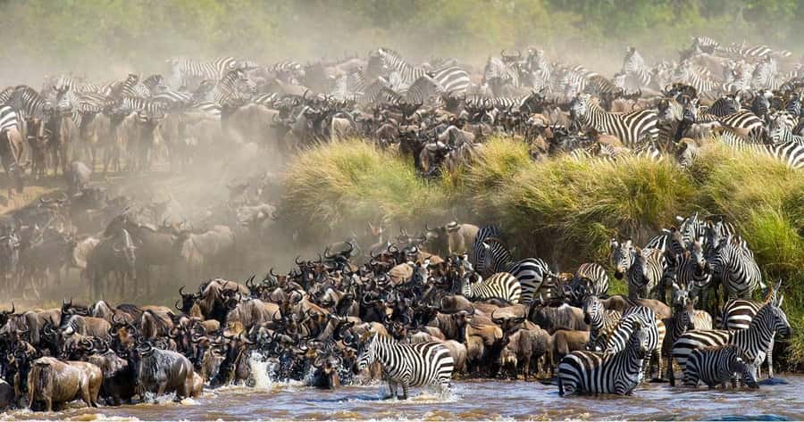 From Nairobi: 3 Days 2 Nights Masai Mara Group Safari - Day three, an optional cultural stop and the road back
