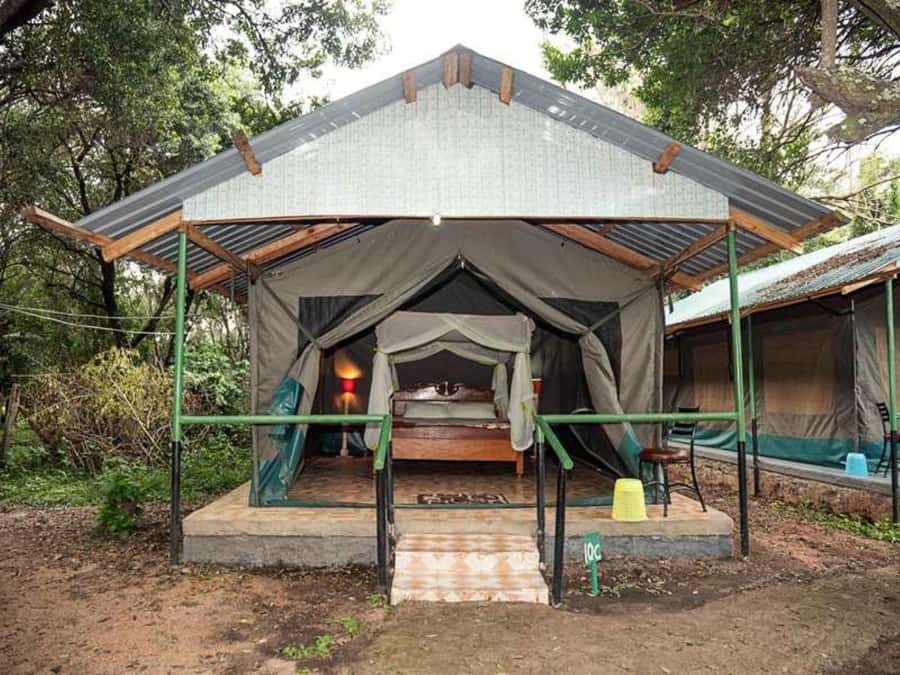 From Nairobi: 3 Days 2 Nights Masai Mara Group Safari - Who should book this safari?