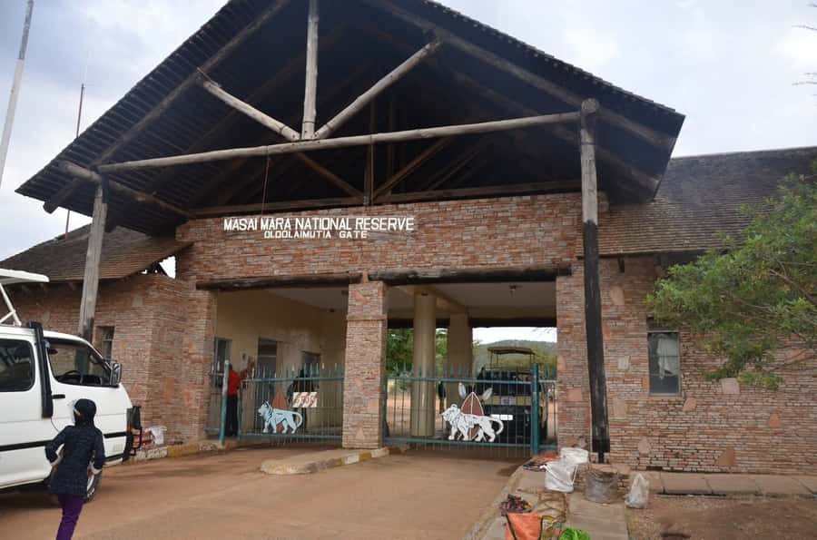 From Nairobi: 7 Days Masai Mara, Nakuru, and Amboseli Safari - The essential details at a glance