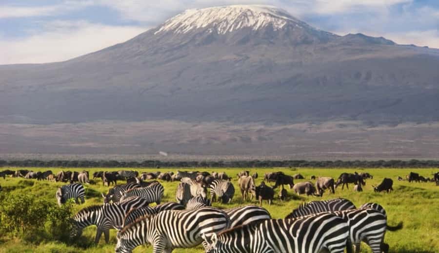 From Nairobi: Day Trip to Amboseli National Park - The short afternoon exit drive