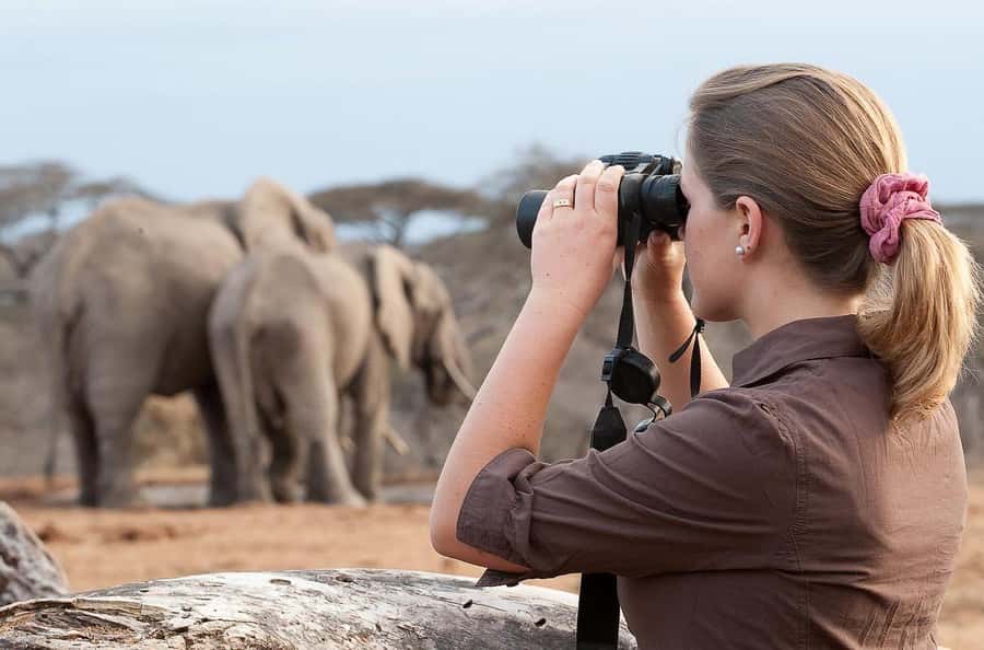 From Nairobi: Day Trip to Amboseli National Park - The pre-dawn departure from Nairobi