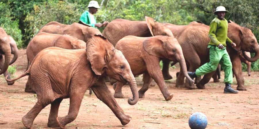 From Nairobi: Elephant Orphanage and Giraffe Center Day Trip - Kobe Beads adds a human side to the day