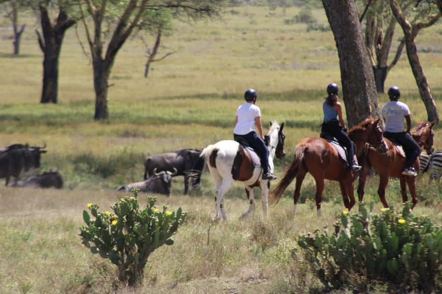 From Nairobi: Horseback Wildlife Safari with Transfer & Meal - Why horseback changes the safari experience
