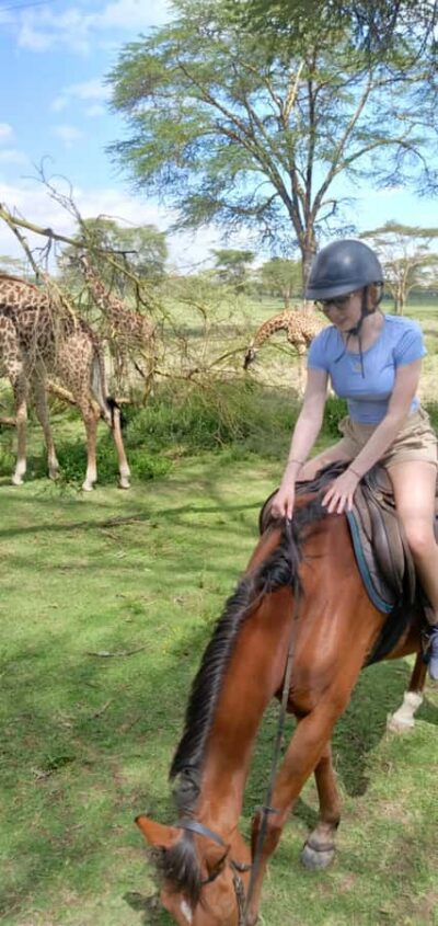 Horseback Wildlife Safari with Transfer & Meal
