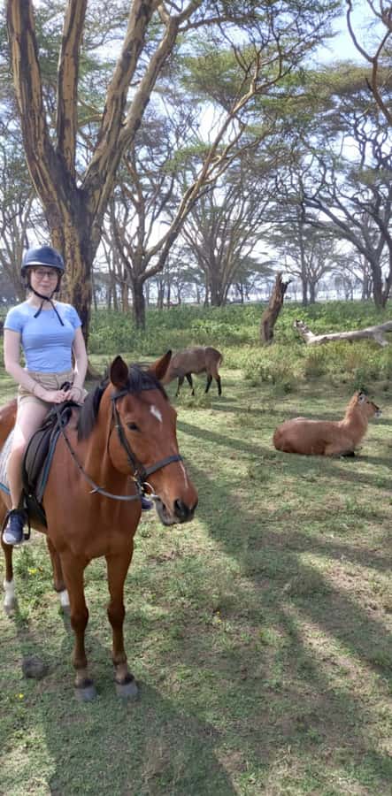 From Nairobi: Horseback Wildlife Safari with Transfer & Meal - What the $235 price includes