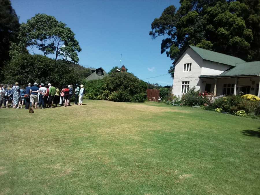 From Nairobi: Kiambethu Tea Farm Tour & Lunch - Gardens, tea fields, and the first wildlife sightings