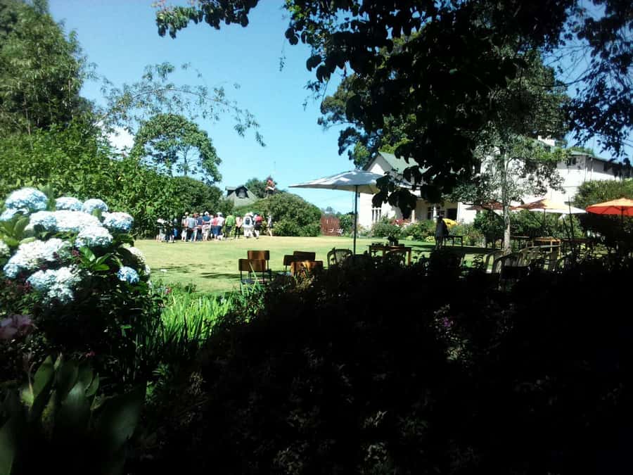 From Nairobi: Kiambethu Tea Farm Tour & Lunch - A three-course lunch made with local produce