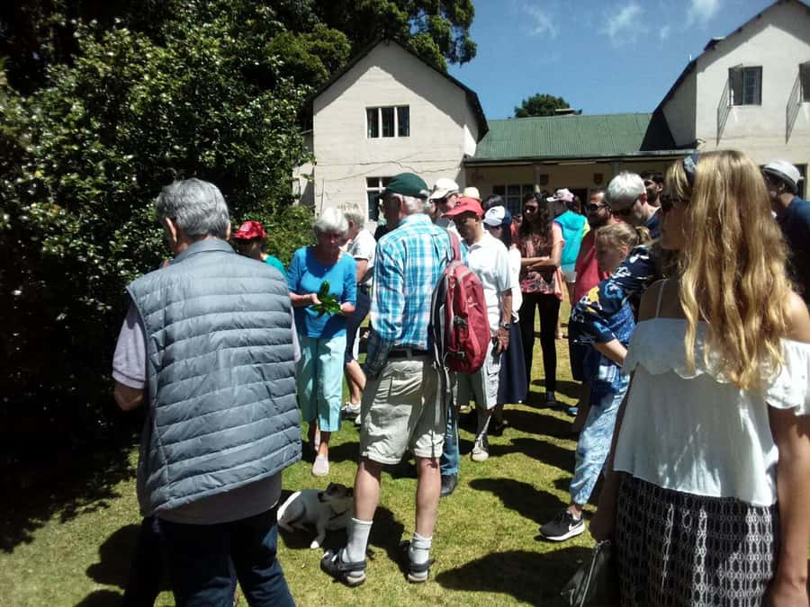 From Nairobi: Kiambethu Tea Farm Tour & Lunch - What the $160 price includes