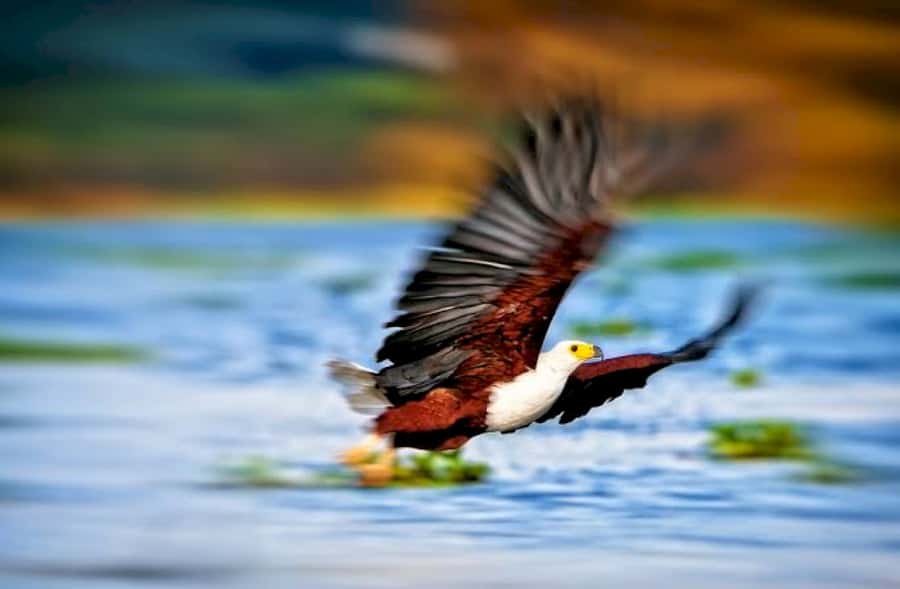 From Nairobi: Lake Naivasha and Hell's Gate Park Day Tour - Lunch at Kifaru Restaurant or Marina Camp