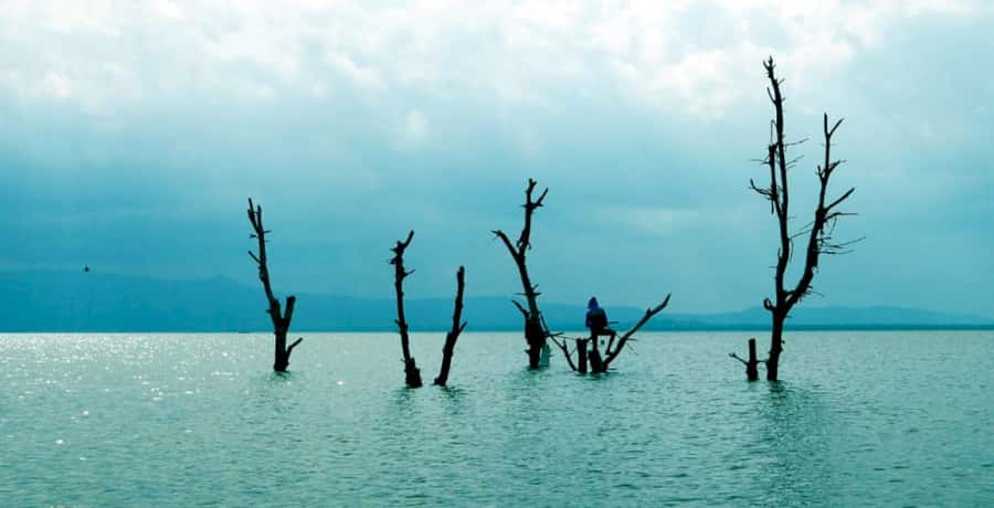 From Nairobi: Lake Naivasha and Hell's Gate Park Day Tour - Cruising across Lake Naivasha