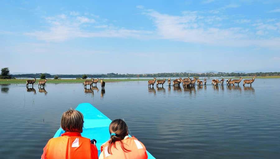From Nairobi: Lakes Nakuru & Naivasha National Park Day Tour - Why the scenery matters as much as the animals
