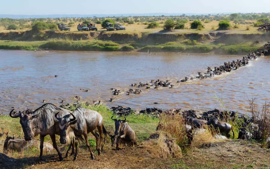 From Nairobi: Maasai Mara 3Day Budget Safari Holiday on Jeep - Key points to know before booking