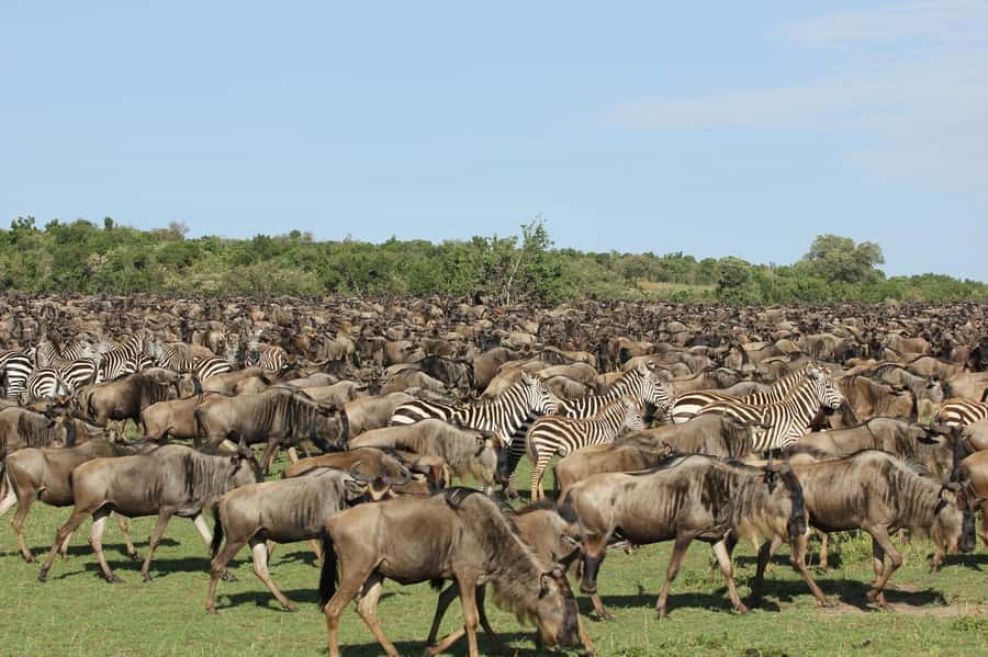From Nairobi: Maasai Mara 3Day Budget Safari Holiday on Jeep - What Lenchada Camp means for your comfort