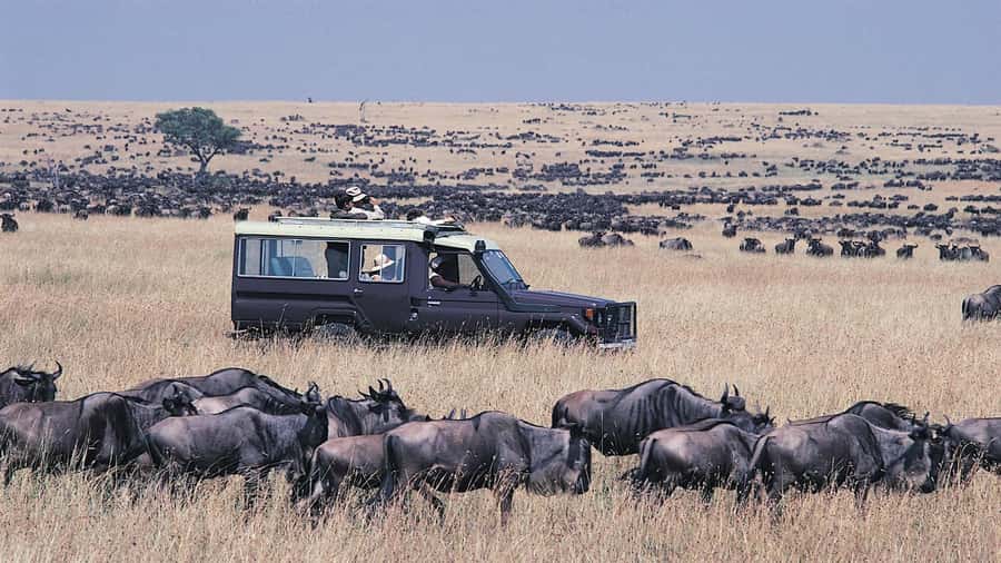 From Nairobi: Masai Mara 3-day Camping Safari by Jeep - The first Masai Mara game drive