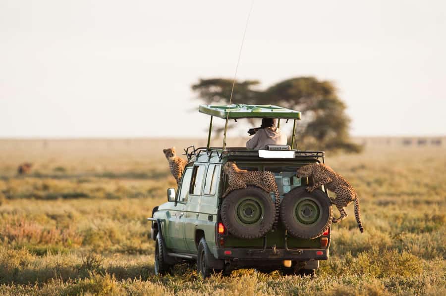 From Nairobi: Masai Mara 3-day Camping Safari by Jeep - The Mara River and the Maasai village option