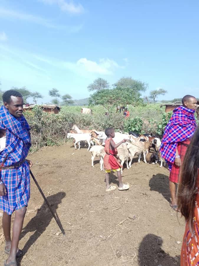 From Nairobi: Masai Tribe Village Visit - Is the $52 price good value?