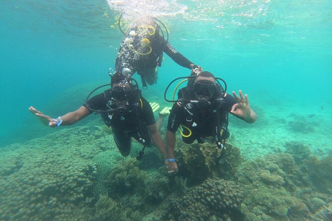 Full Day Dolphin Watching with Snorkeling in Wasini - The morning drive through Kenya’s south coast