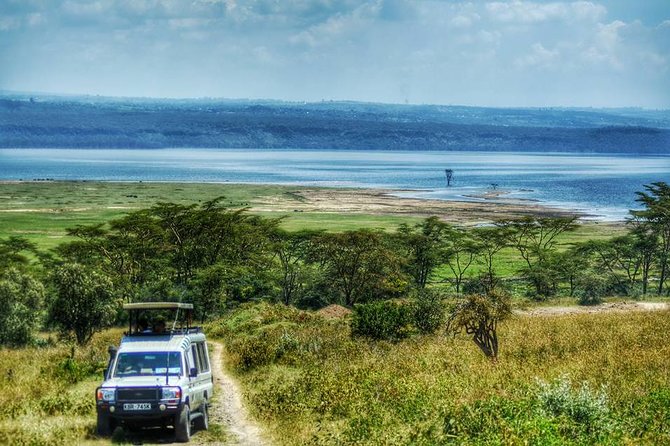 Full Day Lake Nakuru Park and optional boat ride on Lake Naivasha - The afternoon game drive and Makalia Waterfalls