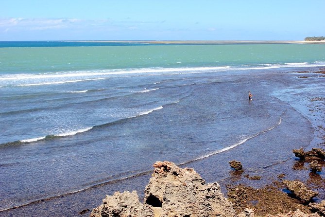 Full Day Mombasa Excursion Tour - Old Town and the market: Mombasa at street level