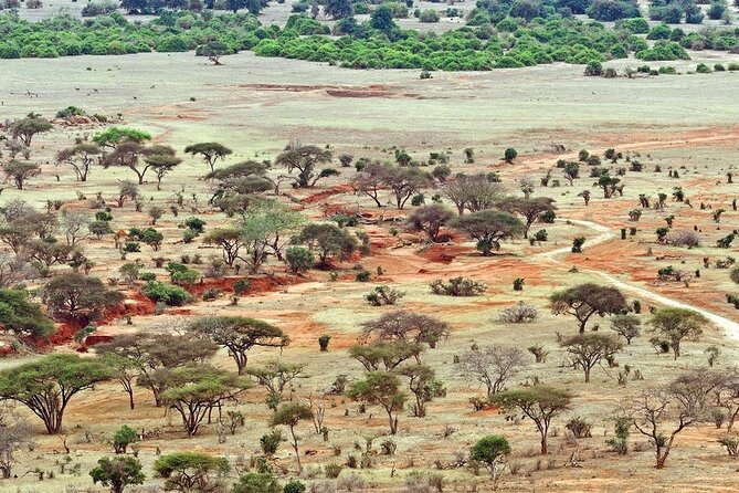 Full Day Private Tour of Tsavo East National Park from Mombasa - The afternoon game drive before leaving the park