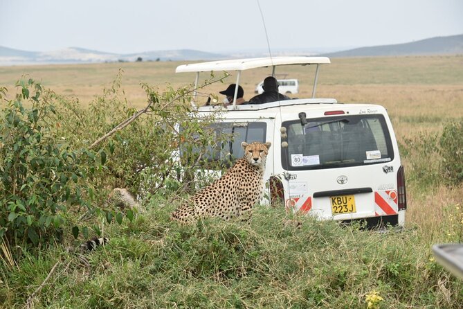 Full Day Private Tour of Tsavo East National Park from Mombasa - What $315 per person really covers