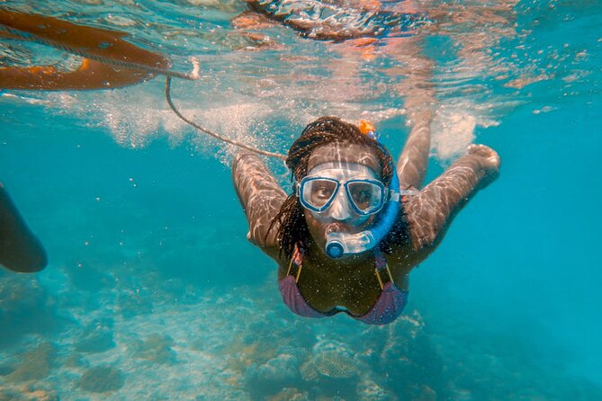 Full-Day Special Wasini Island Tour with Snorkeling and Lunch - Why the Kisite snorkeling is the main event