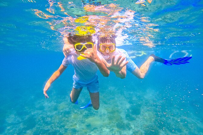 Full-Day Special Wasini Island Tour with Snorkeling and Lunch - Wasini Island lunch and the Coral Garden