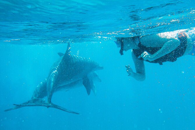 Full-Day Special Wasini Island Tour with Snorkeling and Lunch - Crew care, equipment, and the small-group advantage