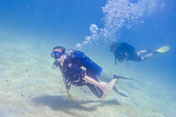 Full-Day Special Wasini Island Tour with Snorkeling and Lunch - Is $126.78 good value?
