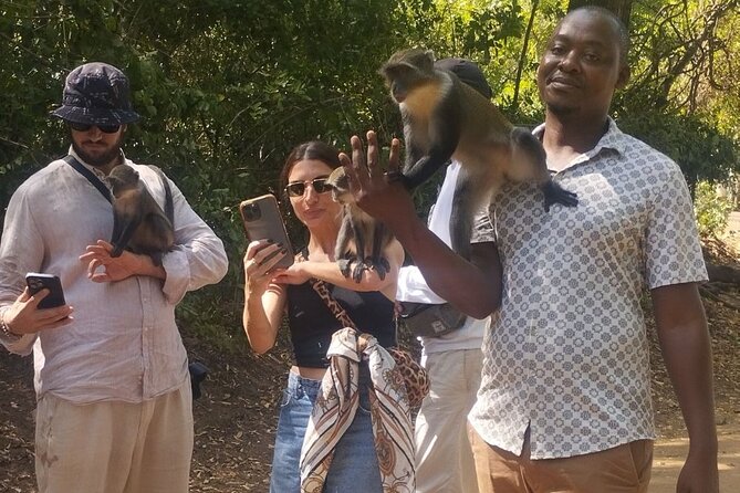 Gede Ruins & Malindi Tour - Key points at a glance