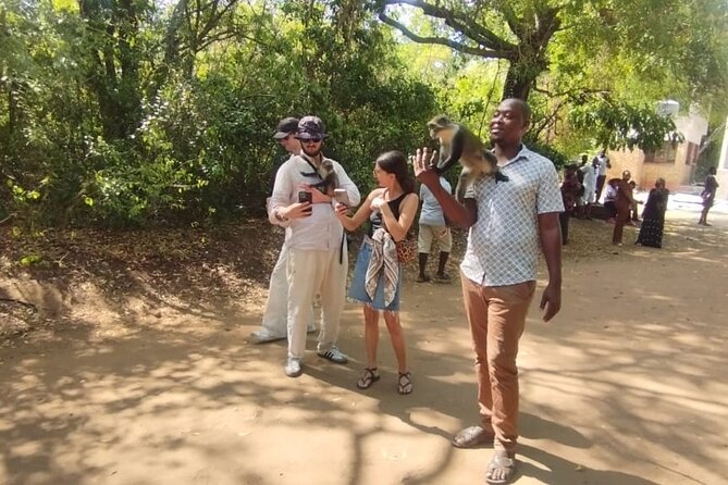 Gede Ruins & Malindi Tour - The value of a private tour for up to four people