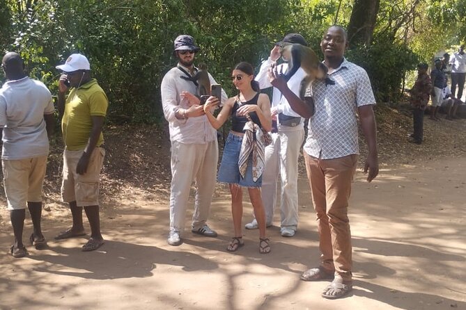 Gede Ruins & Malindi Tour - Who should book this Gede and Malindi day?