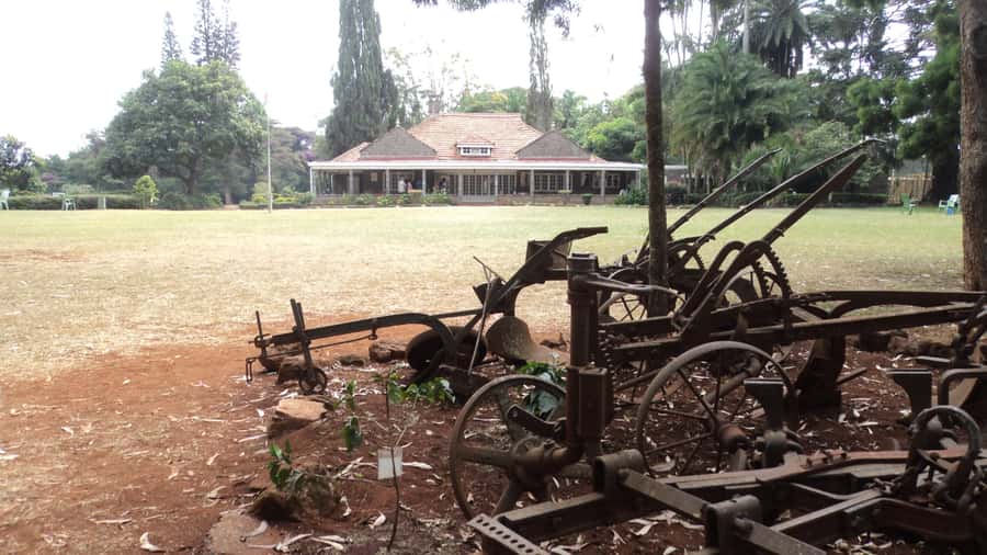 Giraffe Center and Karen Blixen Museum Tour from Nairobi - Meeting the Rothschild giraffes