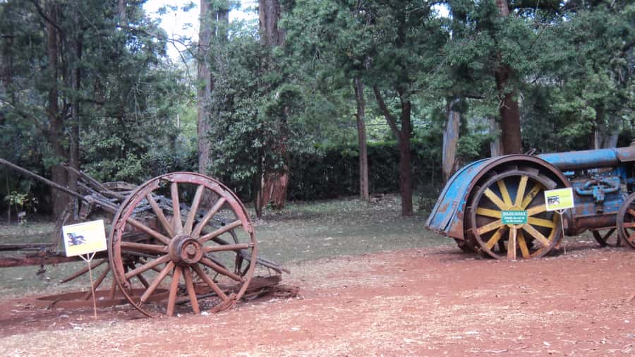 Giraffe Center and Karen Blixen Museum Tour from Nairobi - What the guide adds to the day