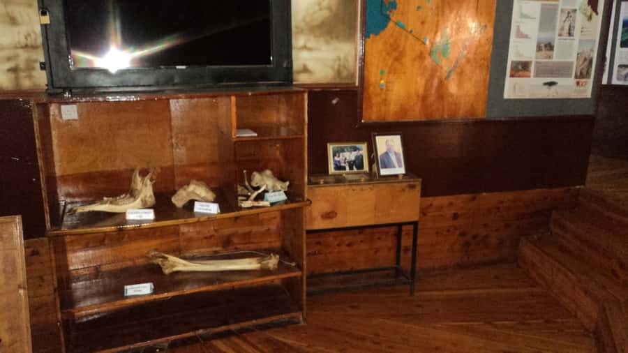 Giraffe Center and Karen Blixen Museum Tour from Nairobi - Is this $99 Nairobi tour worth booking?