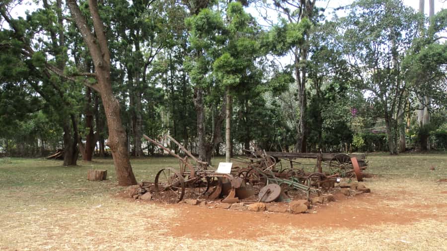 Giraffe Center and Karen Blixen Museum Tour from Nairobi - FAQ