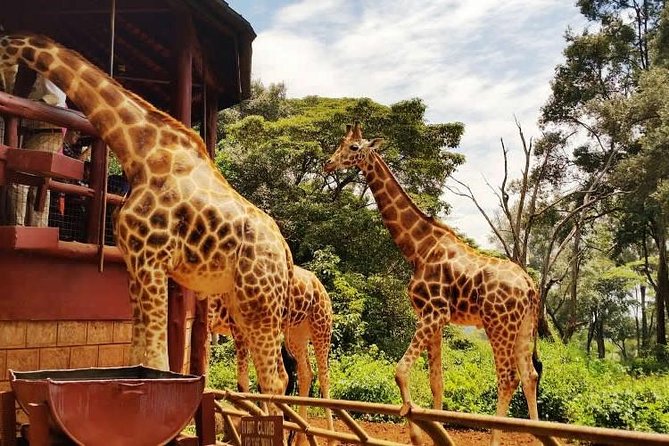 Giraffe center, Elephant Orphanage and Beads Center - Three Nairobi highlights in one 10-hour day