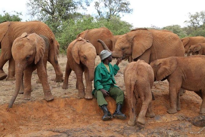 Giraffe Center, Elephant Orphanage, Beads Center & Bomas of Kenya Tour Nairobi - What the $135 price really covers