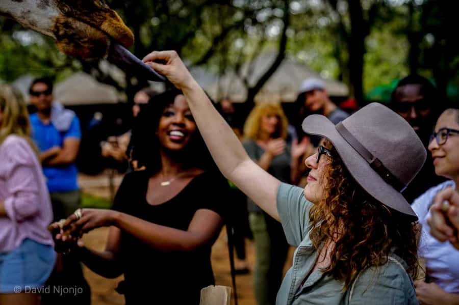 Giraffe, Elephant Orphanage - Three Nairobi sights in one seven-hour day