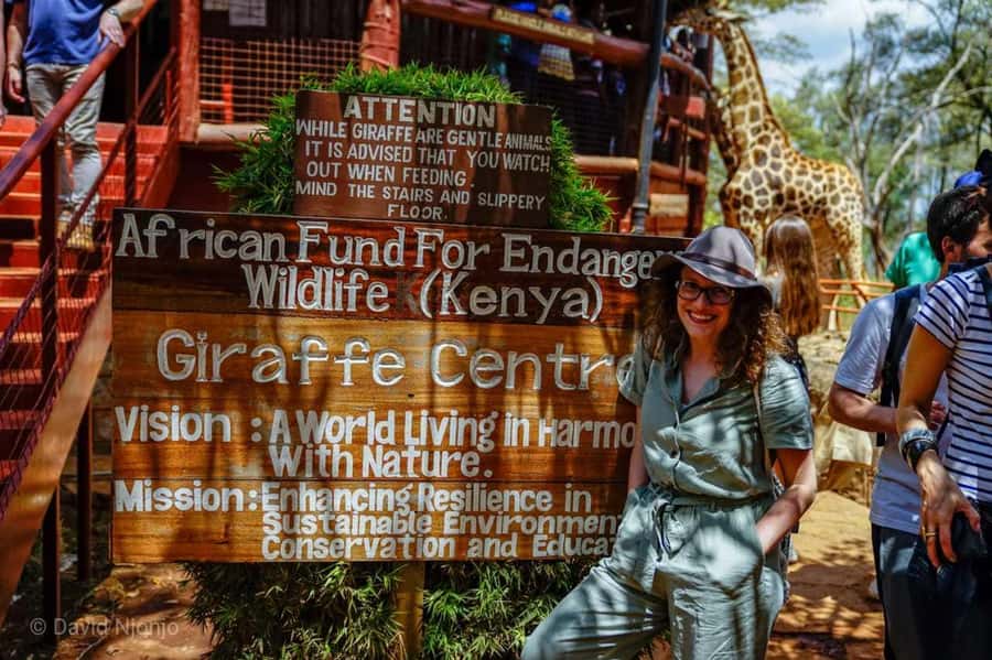 Giraffe, Elephant Orphanage - Lunch is your own expense