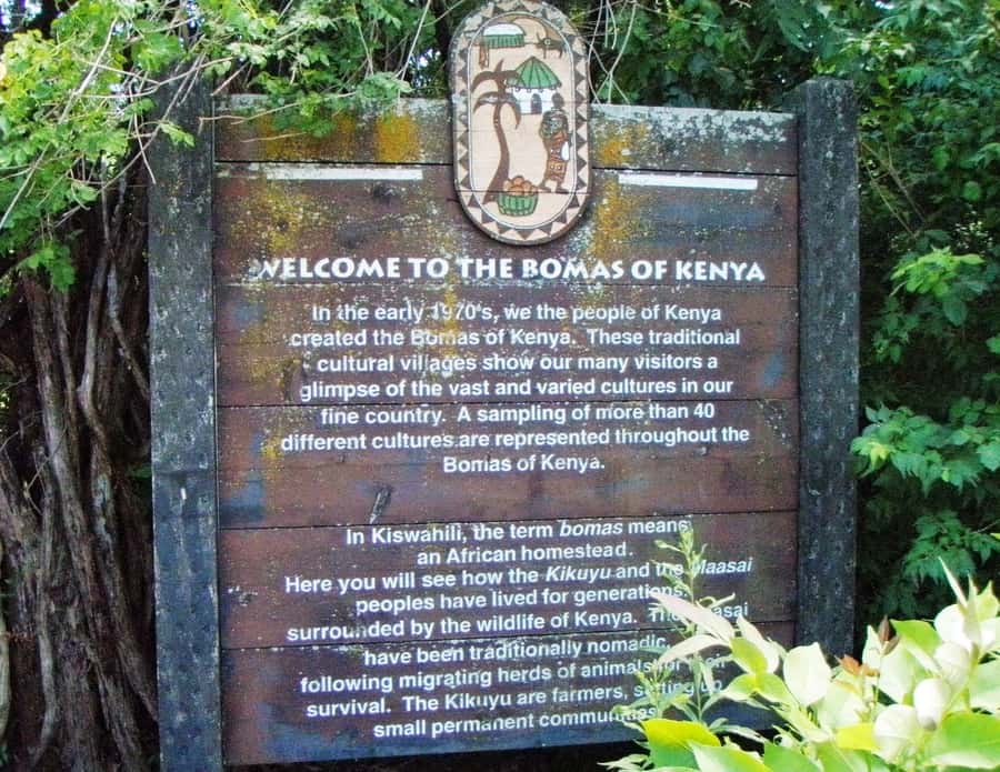 Giraffe, Elephant Orphanage - Who should book this Nairobi experience?