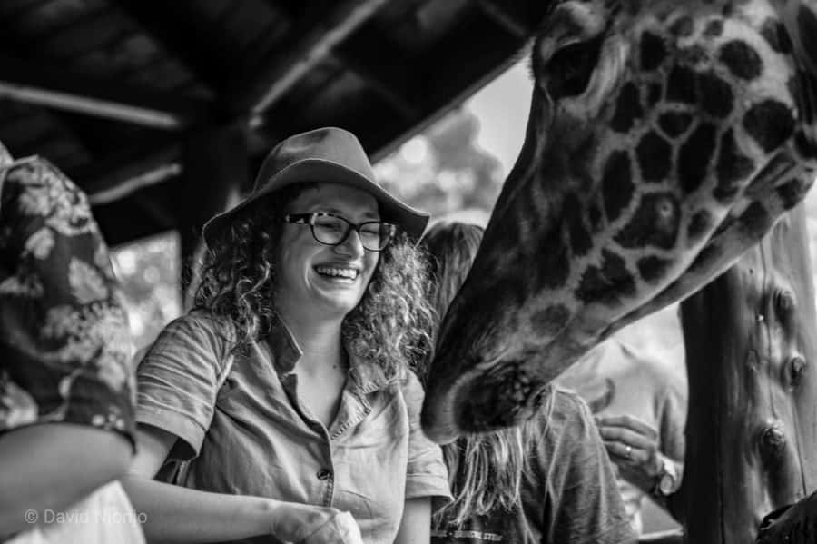 Giraffe, Elephant Orphanage - Should you book it?
