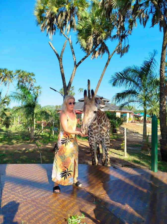 giraffe feeding - From Diani Beach to Bora Bora Sanctuary