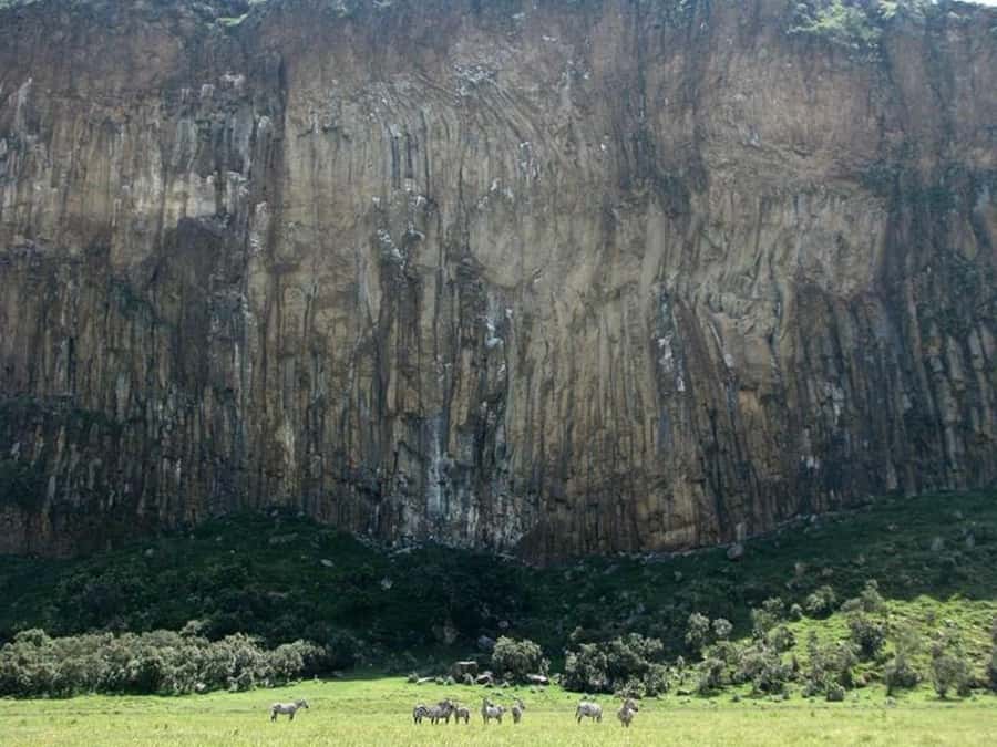 Group joining day tour to Hell's Gate and Lake Naivasha - What the $90 price really covers