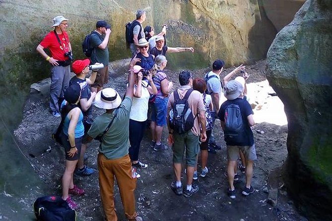 Guided Day Tour Safari of Parks Lake Naivasha and Hells Gate - Wildlife without a traditional big-game drive