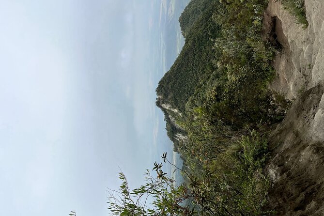 Guided Mount Longonot Hiking Day Trip - The crater and its forested interior